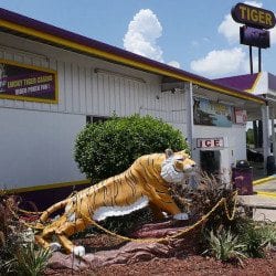 exterior shot of the tiger truck stop