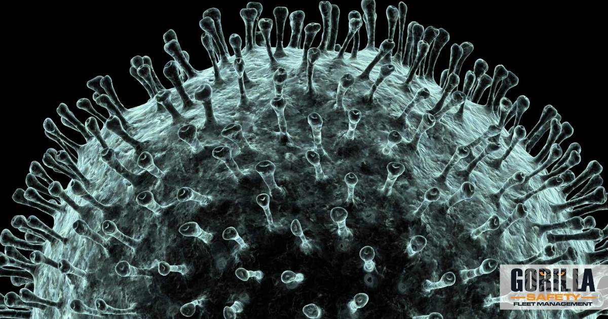 image of coronavirus under a microscope representing the impact that virus has on the fleet industry